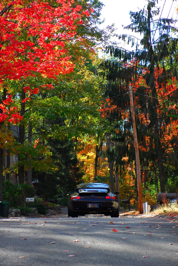 Name:  renn28.jpg
Views: 518
Size:  288.0 KB