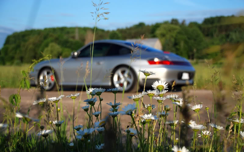 Name:  DSC_2097.jpg
Views: 978
Size:  80.5 KB