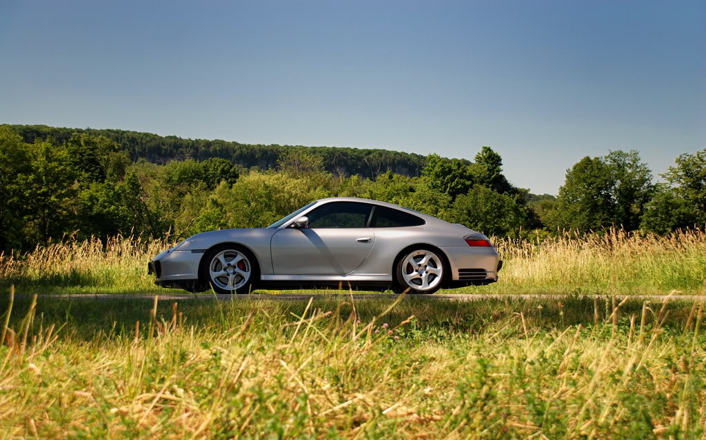 Name:  DSC_2541.jpg
Views: 998
Size:  163.5 KB