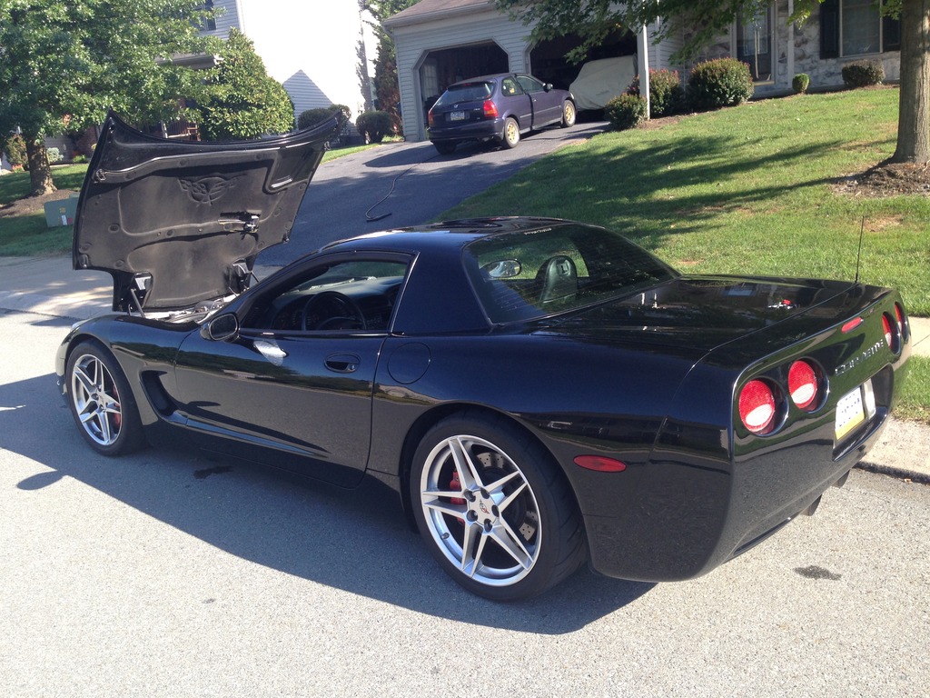 Name:  IMG_5962.jpg
Views: 1846
Size:  304.5 KB