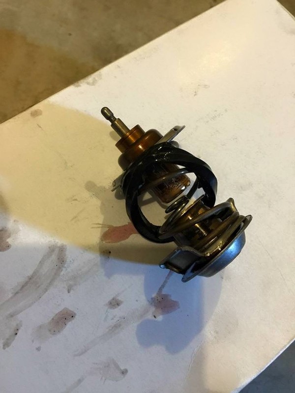 Name:  1781913_10205037551243728_1670849854673463921_n.jpg
Views: 1393
Size:  73.4 KB