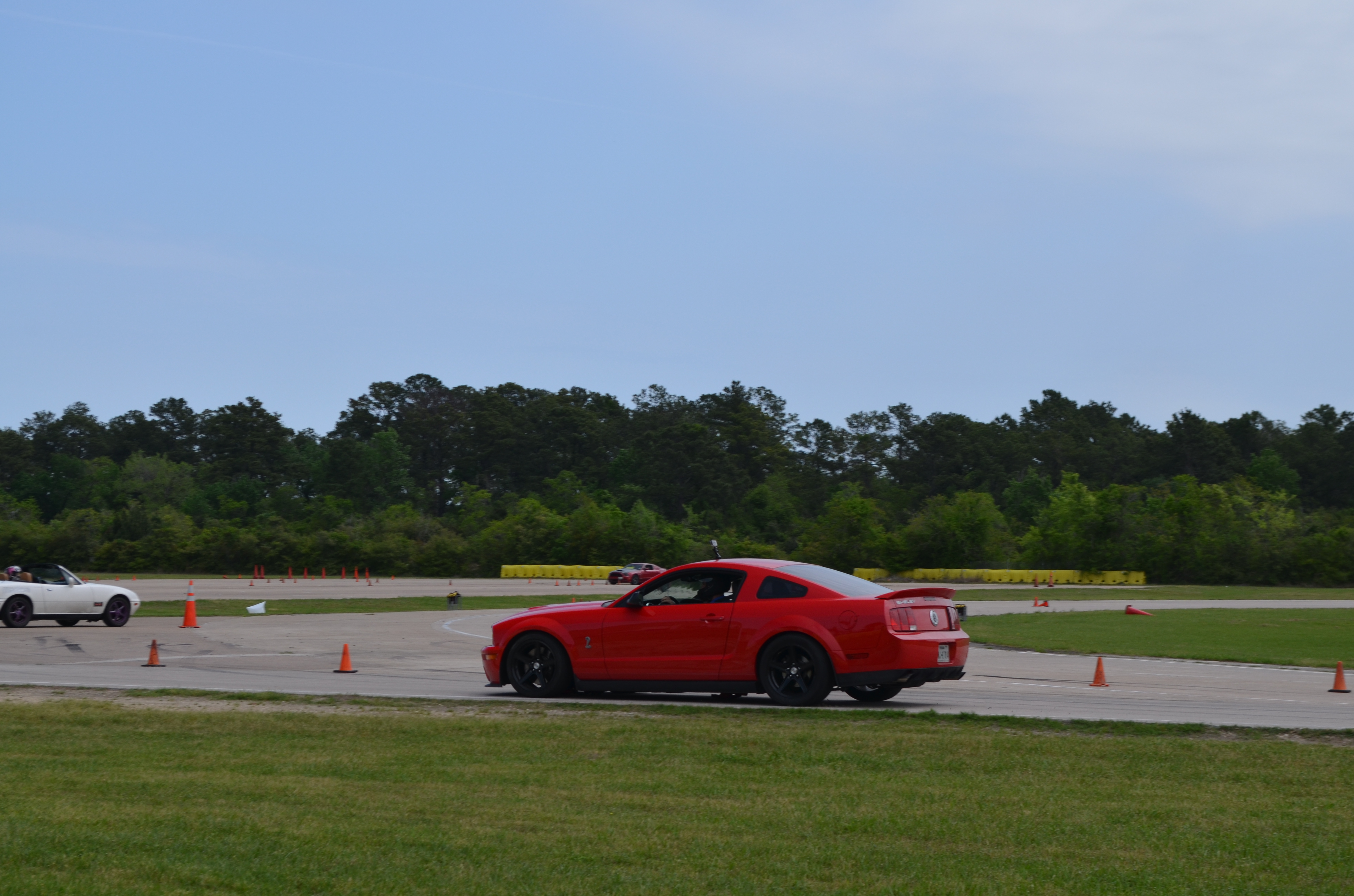 Name:  DSC_0018_zpstwtvgdxl.jpg
Views: 703
Size:  4.61 MB