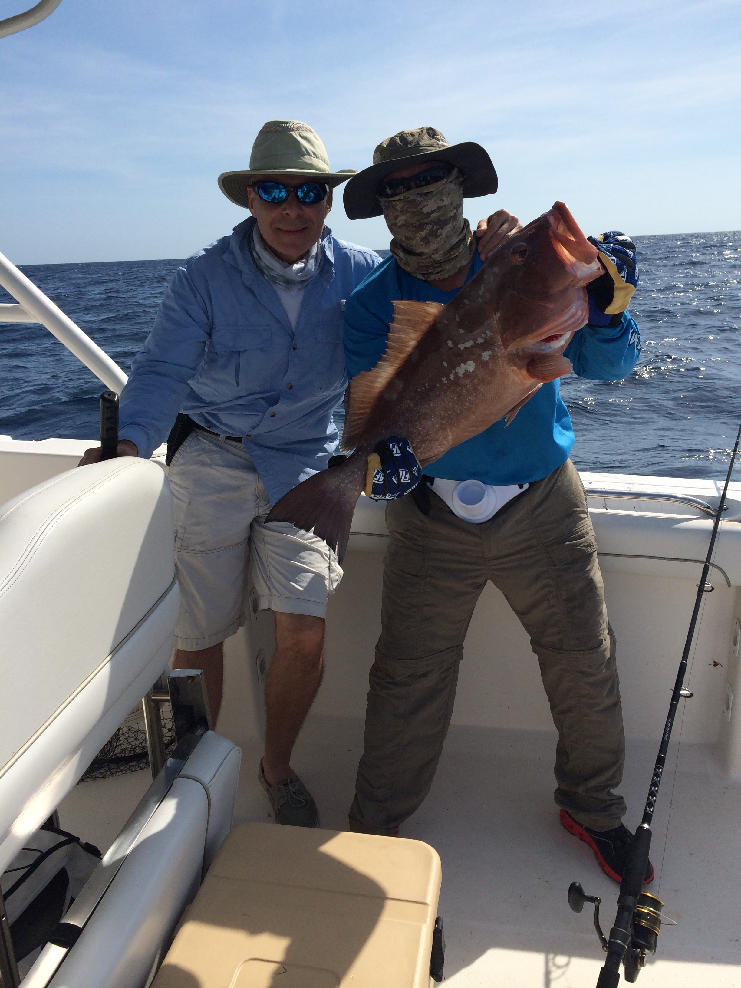 Name: Fat%20grouper_zpspox0so65.jpg
Views: 8
Size: 2.00 MB