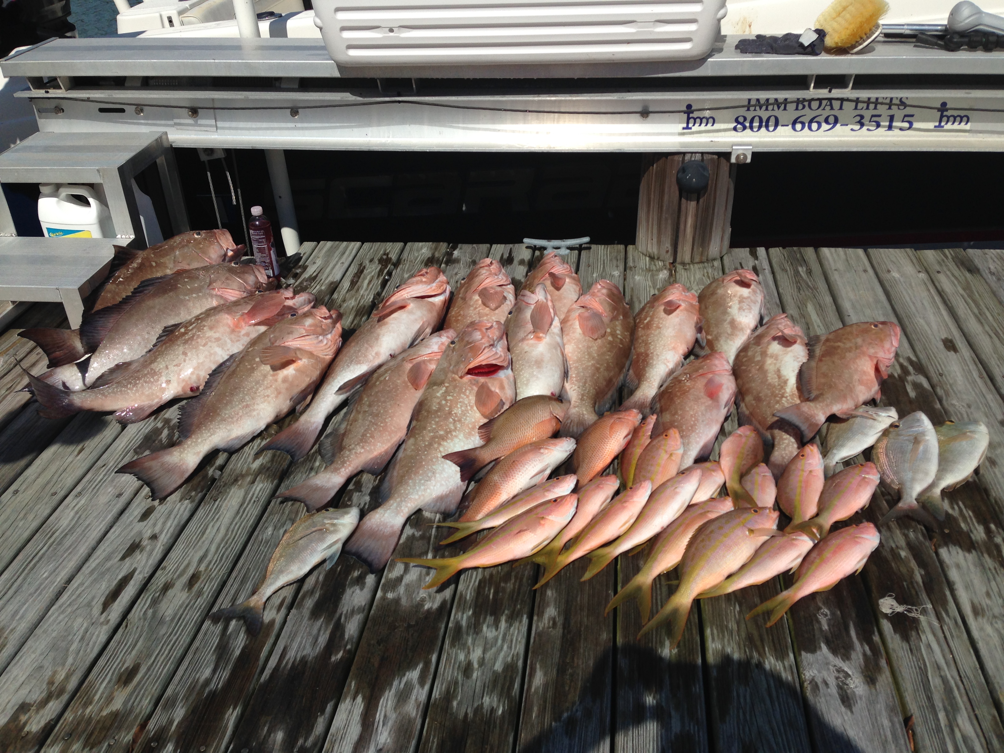 Name: Nice%20haul_zps6ebci4bx.jpg
Views: 9
Size: 2.44 MB