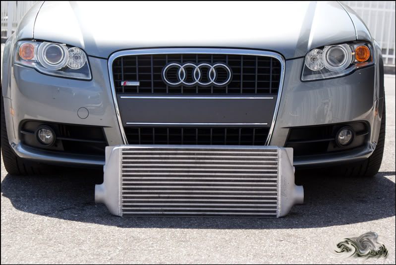 Name:  DSC06062-1.jpg
Views: 2626
Size:  90.6 KB