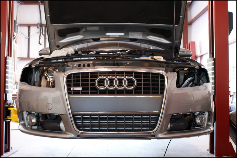 Name:  DSC06759resized.jpg
Views: 2483
Size:  90.4 KB