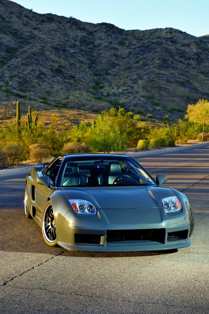 Name:  NSX_5409.jpg
Views: 693
Size:  154.8 KB