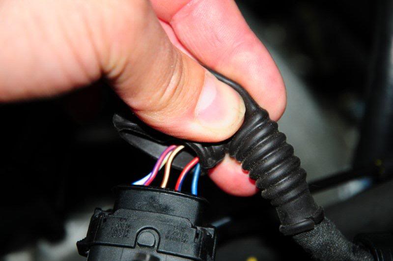 Name:  DSC_2521.jpg
Views: 735
Size:  39.8 KB