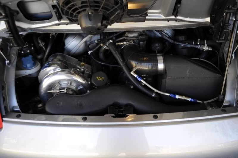 Name:  _DSC5829.jpg
Views: 718
Size:  57.2 KB