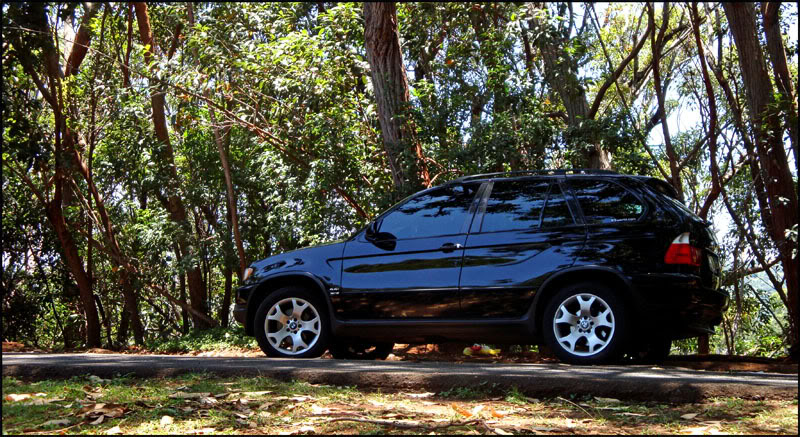 Name:  X5wilderness.jpg
Views: 388
Size:  162.9 KB