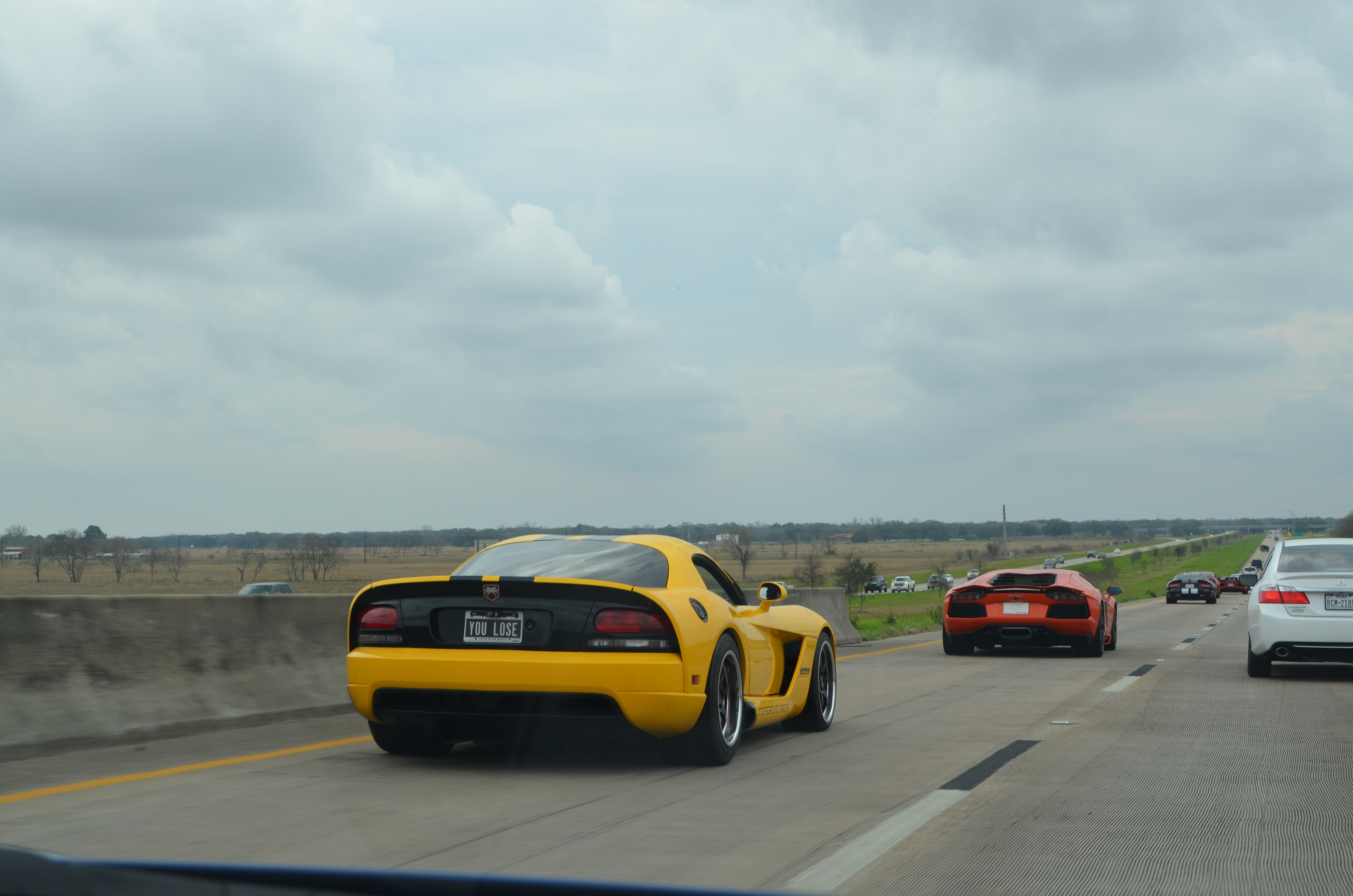 Name:  DSC_0098_zpshhhumfxq.jpg
Views: 853
Size:  4.03 MB