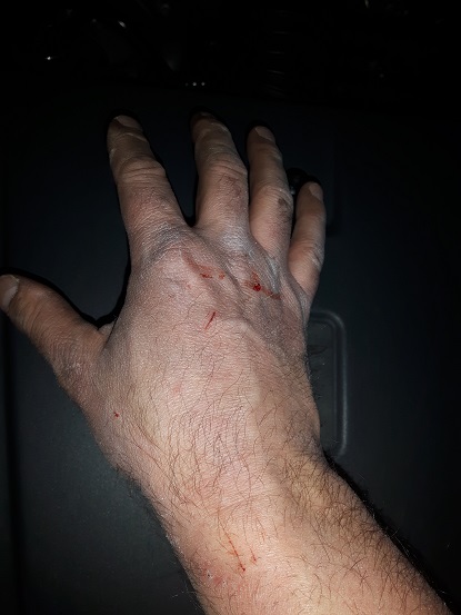 Name:  HAND.jpg
Views: 941
Size:  71.7 KB