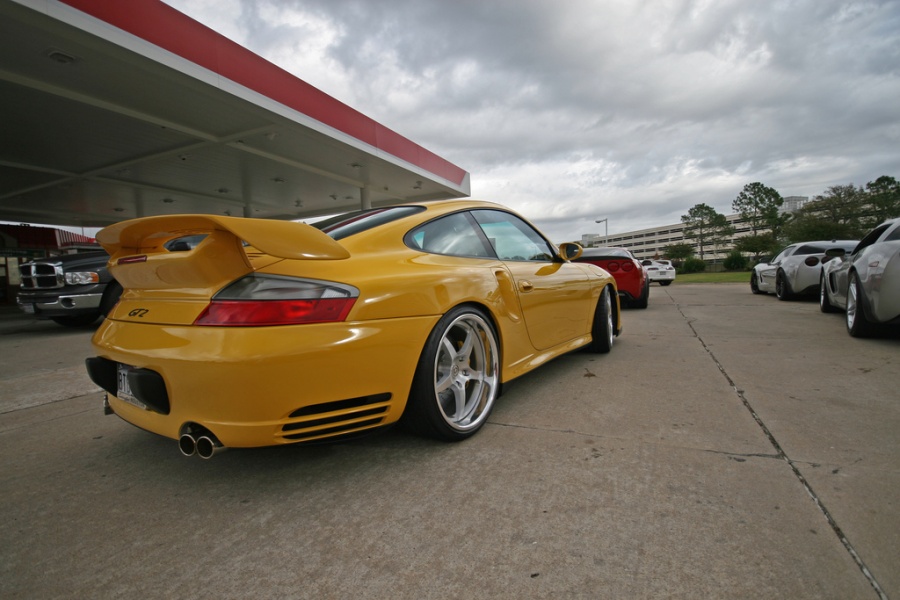 Name:  tweety pics2.jpg
Views: 76
Size:  159.8 KB