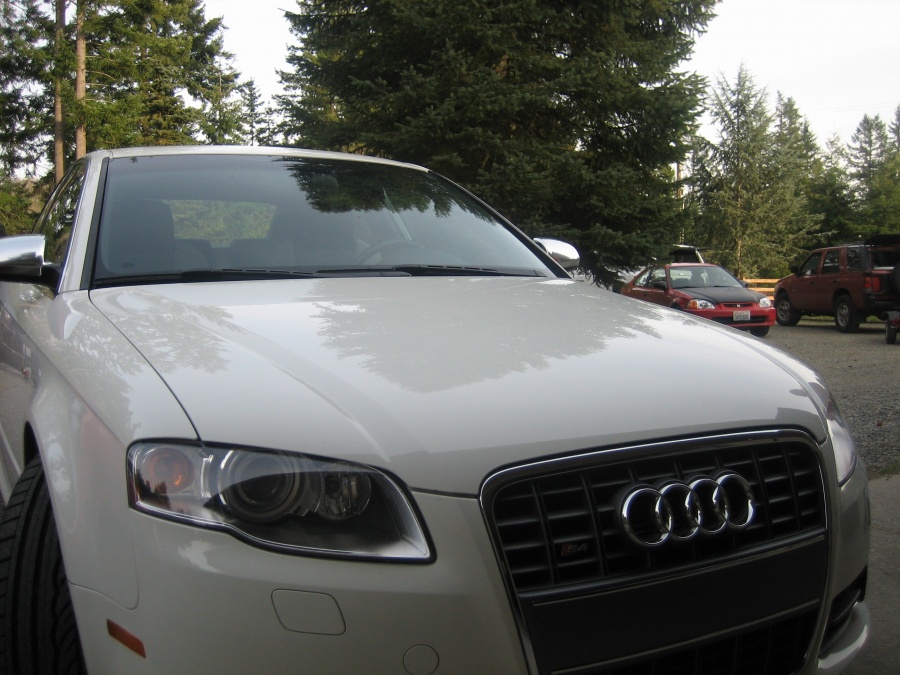 Name:  Picture 200.jpg
Views: 54
Size:  208.9 KB