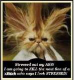 Name:  th_stressed.jpg
Views: 62
Size:  5.2 KB