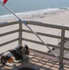 BeachBumNY's Avatar