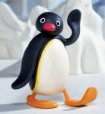 pingu81's Avatar
