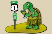 drytortuga's Avatar