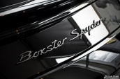 spyderluv's Avatar