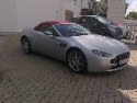 V8 Animal's Avatar
