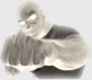 bigbrian's Avatar
