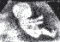 NAPO's Avatar