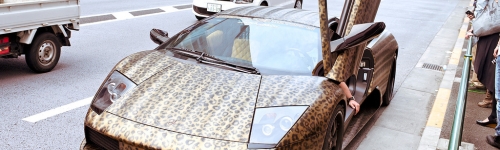 Lamb-whoa: Murcielagos in Japan