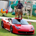 Man Puts Live Lion on Ferrari 458 Italia