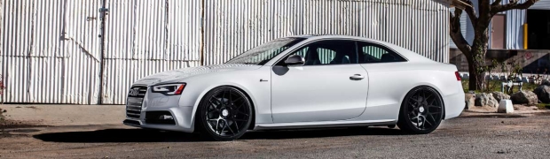 AudiA5-b