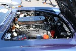 Tons of Pics From Concorso Ferrari 2013: Page 2