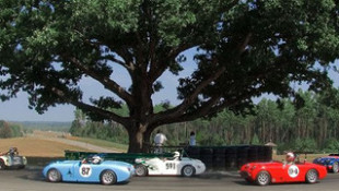 Virginia International Raceway Loses Iconic Oak