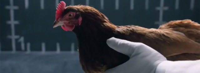 Jaguar Pokes Fun At Mercedes’ in New Ad