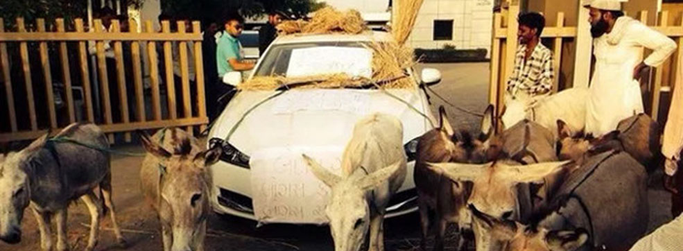 donkeys-tow-jaguar-slider
