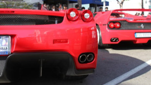 The Big Fat Ferrari Photo Gallery & Video