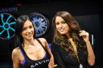 The Big Fat SEMA Brand Ambassador Galleries