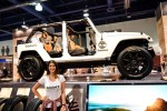 The Big Fat SEMA Brand Ambassador Galleries
