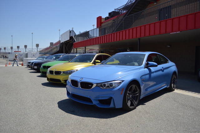 Porsches Galore at California Festival of Speed