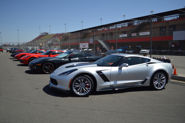 Porsches Galore at California Festival of Speed