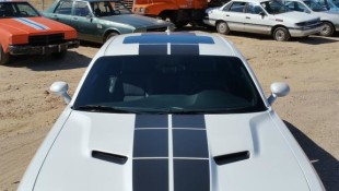Hauling Ass in Hellcats and Vipers at Willow Springs