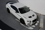 MEGA GALLERY Supercar Cruise-In at the Petersen Automotive Museum