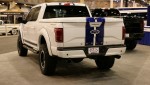 Cold Weather and Hot Metal at the Houston Auto Show