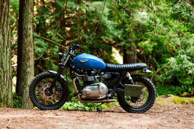 “The Woodsman” Makes Us Want to Get Lost in the Woods