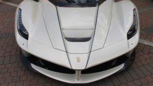 xotics at Redmond Town Center
