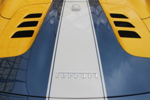 Worth Waking Up Early For: Exotics at Redmond Town Center