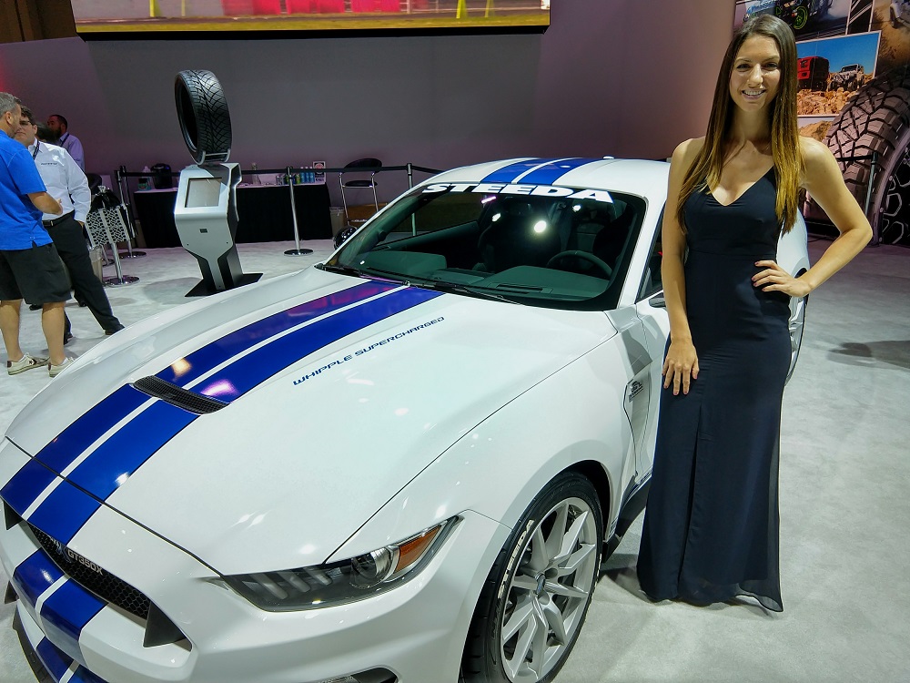 Ladies of SEMA 2017 (Photos)