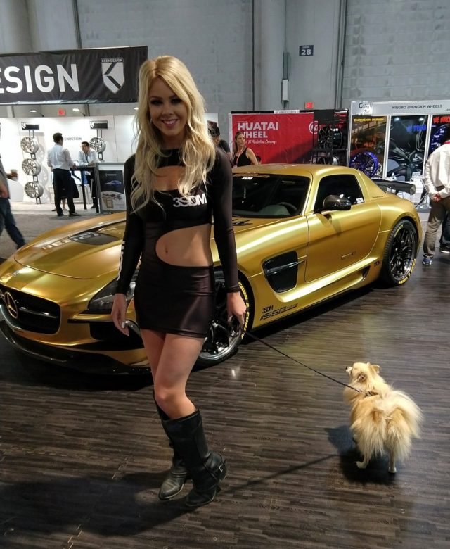 Ladies of SEMA 2017 (Photos)