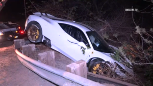 Ferrari 458 crash raccoon