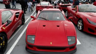 Ferrari Cruise-In 2024